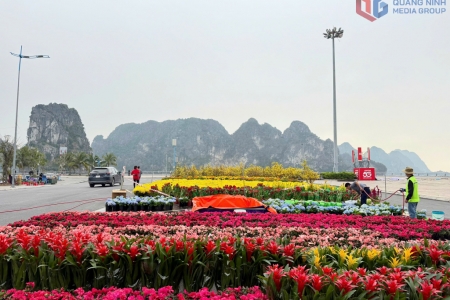 Lần đầu tiên Quảng Ninh tổ chức Đại lộ hoa và công nghệ ánh sáng bên Vịnh kỳ quan