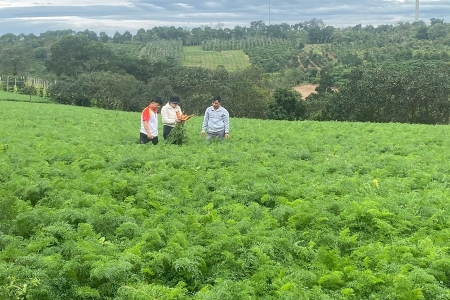 Lâm Đồng: Ngành nông nghiệp & môi trường hướng tới mục tiêu tăng trưởng hai con số