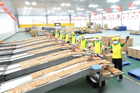 TAFA Group – Từ trang trại nhỏ đến diễn đàn toàn cầu: Hành trình nâng tầm giá trị trứng Việt
