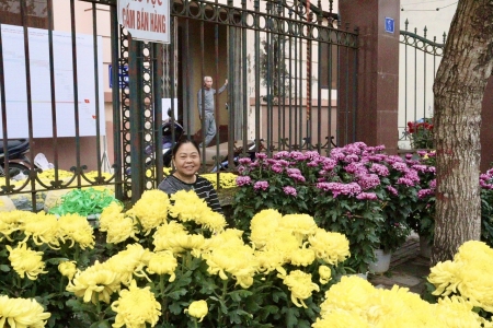 Chợ hoa truyền thống – Sắc xuân giữa lòng Thành Nam