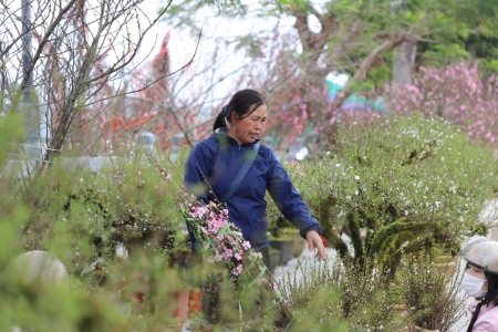 Giá cả thị trường Lào Cai trước Tết Bính Ngọ 2026: Sức mua tăng mạnh, nguồn cung vẫn ổn định