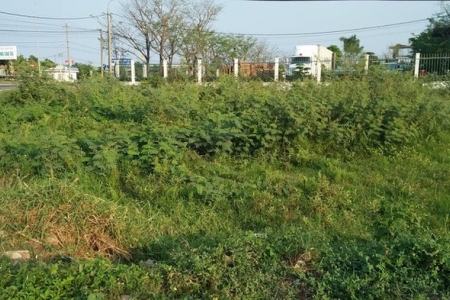 Người dân chuyển đất nông nghiệp sang đất ở trước năm 2026 sẽ được hoàn lại tiền