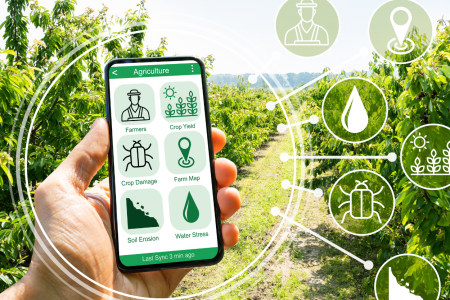 Đề án 09: Lào Cai hướng tới xây dựng nền nông nghiệp sinh thái, nông thôn hiện đại, nông dân văn minh