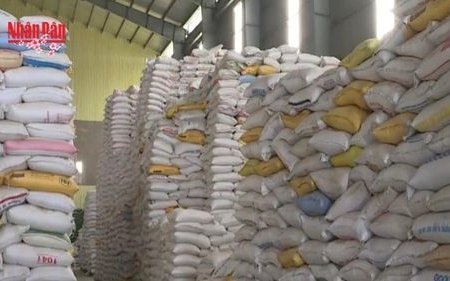 Xuất cấp hơn 14.660 tấn gạo dự trữ hỗ trợ Tết và giáp hạt năm 2026