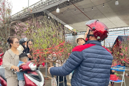 Chợ hoa Xuân 2026 ở Phố Hiến: Không gian mới rộng rãi, mua sắm rộn ràng những ngày giáp Tết