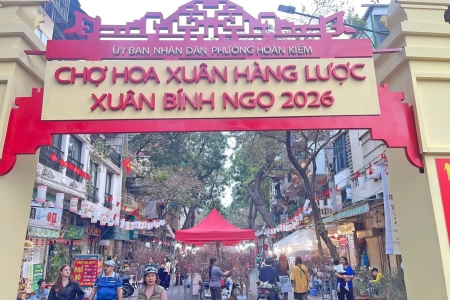 Chợ hoa Xuân phố cổ 2026 - điểm hẹn văn hóa những ngày giáp Tết