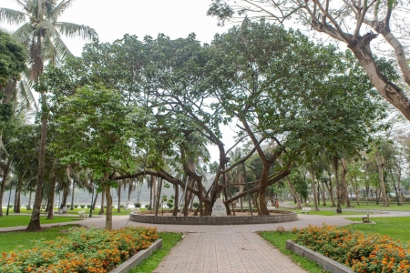 Hà Nội lấy ý kiến đề án phát triển 25 công viên chuyên đề, trồng mới 1,4 triệu cây xanh