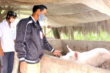 Cần Thơ đẩy mạnh phát triển chăn nuôi gia súc, gia cầm