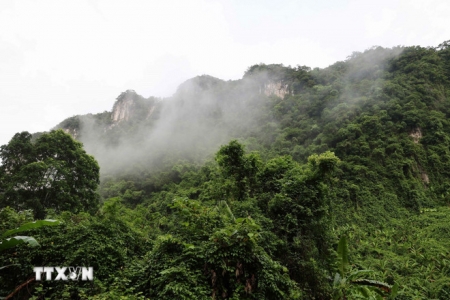 Tài chính xanh mở lối bảo tồn trên hành lang sinh thái Trường Sơn