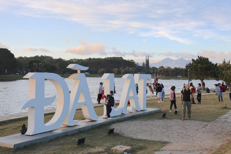 Du xuân đầu năm 2026 tại Đà Lạt - Phố núi thức giấc trong sắc xuân