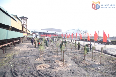 Công ty Tuyển than Cửa Ông phát động “Tết trồng cây đời đời nhớ ơn Bác Hồ” Xuân Bính Ngọ 2026