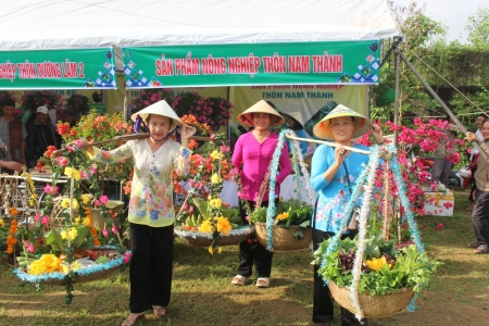 Túy Loan lan tỏa tinh thần “Tết xanh” giữa lòng Đà Nẵng