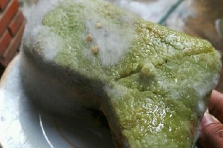 Bánh chưng: Cách bảo quản an toàn, tránh nguy cơ từ độc tố nấm mốc