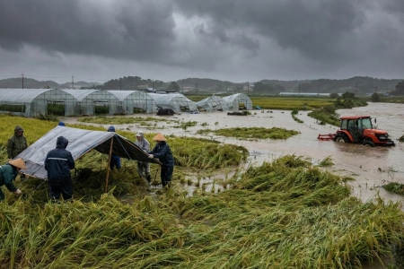 Bộ Tài chính đề xuất nâng hỗ trợ bảo hiểm nông nghiệp lên 95%