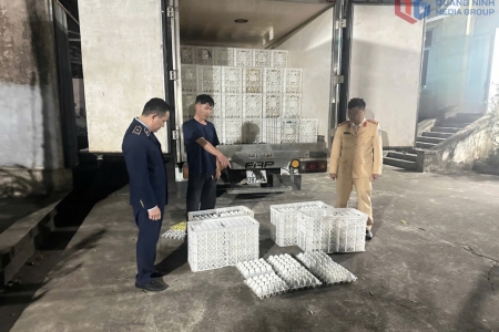 Quảng Ninh tiêu hủy gần 29.000 quả trứng gia cầm không rõ nguồn gốc