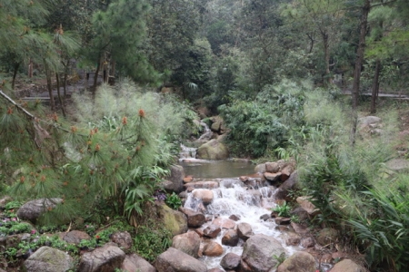 Cải tạo, phục hồi suối Côn Sơn gắn với gìn giữ cảnh quan, phát huy giá trị Di sản văn hóa thế giới Côn Sơn – Kiếp Bạc