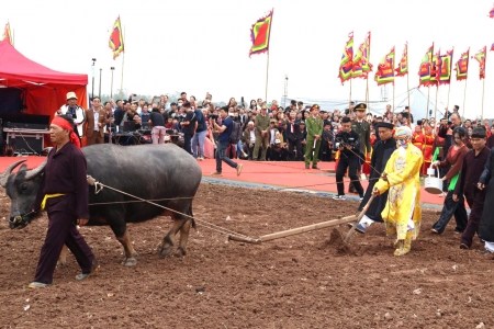 Lễ hội Tịch Điền Đọi Sơn 2026: Tái hiện lễ vua đi cày, tôn vinh nông nghiệp và khát vọng phát triển