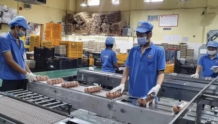 Đồng Nai: Các doanh nghiệp dự kiến tuyển dụng 173.000 lao động