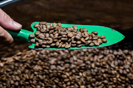 Cà phê Việt xuất khẩu 1,53 tỷ USD, nhiều thị trường chi gấp 3-4 lần mua “vàng nâu”