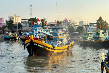 Rộn ràng chuyến biển đầu xuân, ngư dân Lâm Đồng kỳ vọng mùa cá bội thu