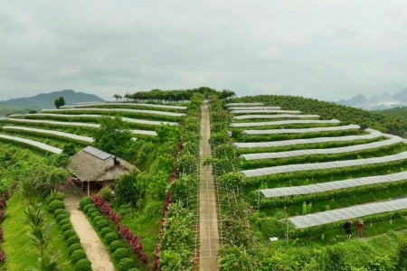 Lào Cai: Chấp thuận chủ trương đầu tư dự án xây dựng cơ sở sản xuất kinh doanh phi nông nghiệp tại xã Bản Liền