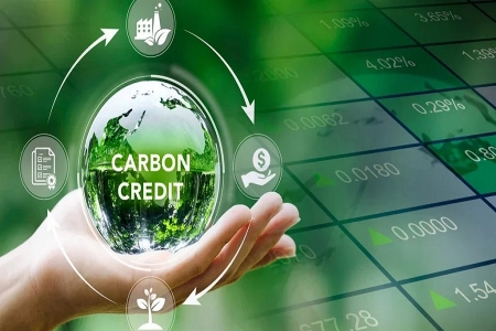 Bộ Nông nghiệp và Môi trường cấp mã, số sê-ri cho hạn ngạch phát thải và tín chỉ carbon