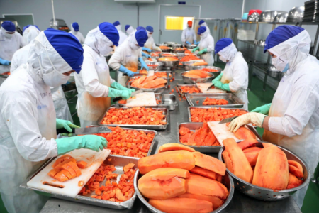 Rau quả Việt Nam tăng tốc đầu năm, tạo đà chinh phục mục tiêu 10 tỷ USD