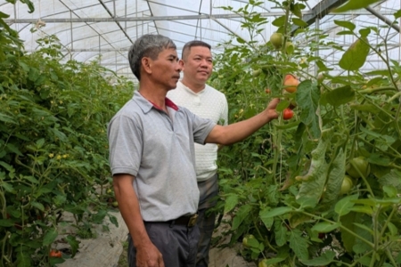 Thanh Hóa: Hoằng Hóa chuyển mình với nông nghiệp công nghệ cao