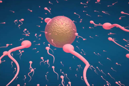 Tinh trùng yếu do sinh lý yếu - Vấn đề nan giải ở nam giới