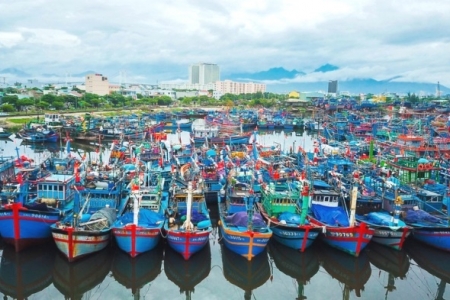 Đà Nẵng: Cảng cá lớn nhất miền Trung sẽ thành cảng du lịch hiện đại