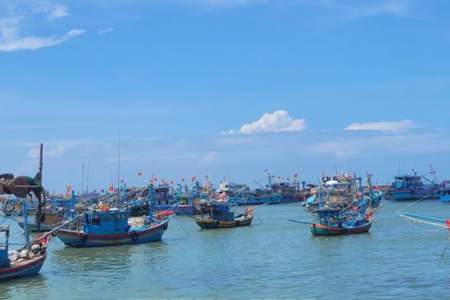 TP.HCM siết chặt chống khai thác IUU trước đợt kiểm tra của EC