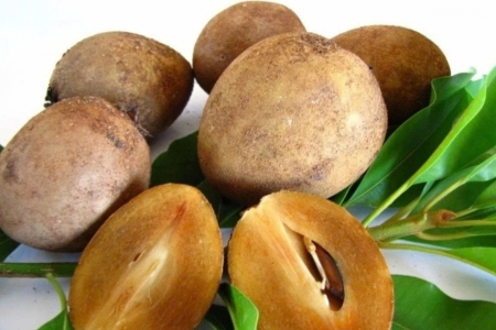 Hồng xiêm là loại trái cây giàu dinh dưỡng bên cạnh hương vị thơm ngon