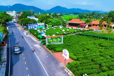 Thái Nguyên triển khai Đề án sản xuất trồng trọt giảm phát thải đến năm 2035