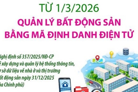 Minh bạch thị trường địa ốc qua "căn cước" định danh bất động sản
