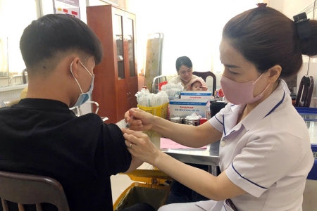 Cảnh báo nguy cơ bệnh dại gia tăng: Đừng chủ quan sau những vết cào, cắn của thú cưng