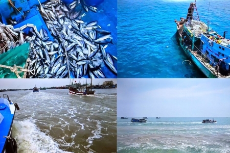 Cà Mau tăng cường tuyên truyền Quy chế phối hợp liên ngành về chống khai thác thủy sản bất hợp pháp