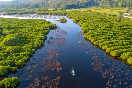 Hưng Yên phát động trồng cây phục hồi rừng ngập mặn ven biển
