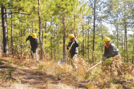 Tây Ninh chủ động ứng phó nguy cơ hạn hán, cháy rừng mùa khô năm 2026