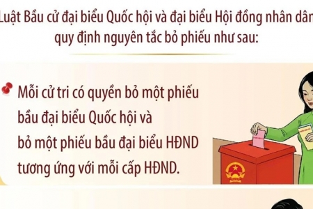 Bầu cử Quốc hội và Hội đồng nhân dân: Nguyên tắc bỏ phiếu
