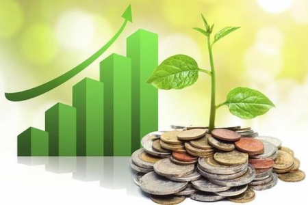 Doanh nghiệp cảng biển báo lãi kỷ lục, chia cổ tức 20%