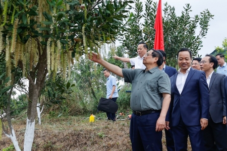 Thủ tướng Phạm Minh Chính: Cần biến núi rừng Tây Bắc trùng điệp thành của cải vật chất