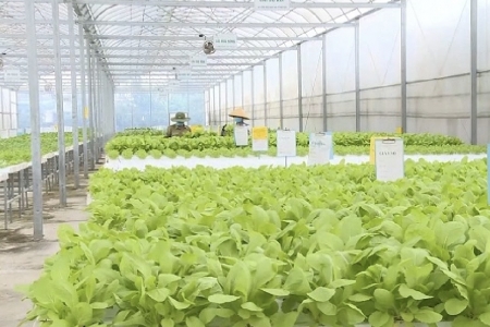 Tăng cường liên kết vùng, nâng cao giá trị nông sản xuất khẩu của Hà Nội