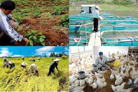 Chăn nuôi và thủy sản tăng trưởng tích cực trong hai tháng đầu năm 2026