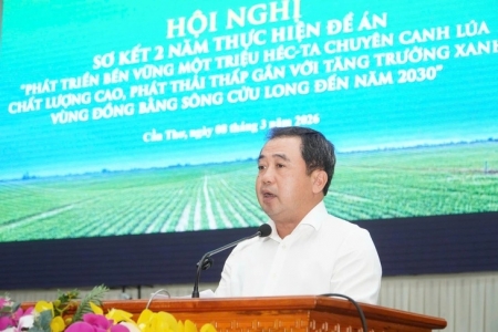 Vùng lúa chất lượng cao ở Đồng bằng sông Cửu Long vượt gần gấp đôi kế hoạch sau hơn 2 năm