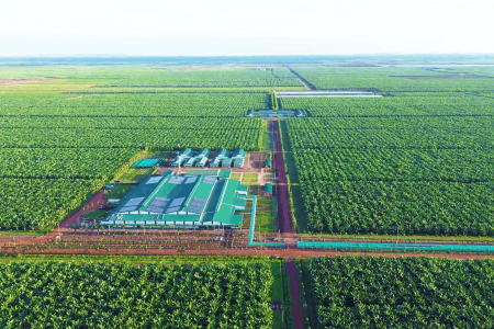 THACO AGRI đón tiếp đoàn phóng viên tham quan các Khu liên hợp