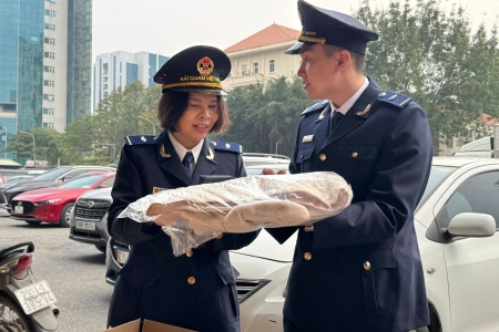 Hải quan khu vực I: Kim ngạch xuất nhập khẩu gần 2 tháng đạt 15,2 tỷ USD