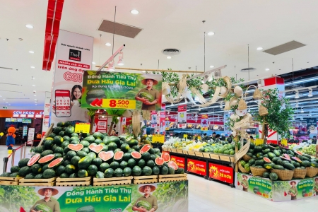 Hệ thống bán lẻ hỗ trợ đầu ra dưa hấu Gia Lai