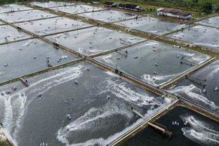 Mặt hàng Việt thu trăm triệu USD từ Trung Quốc và Nhật Bản