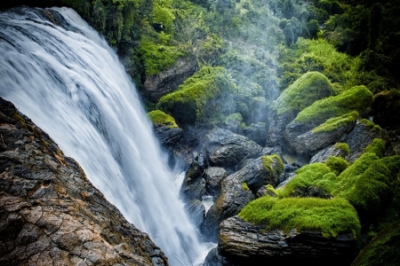 Lâm Đồng: Phát triển du lịch từ thiên nhiên và bản sắc con người