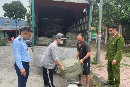 Hưng Yên: Thu giữ, tiêu hủy 600 kg nầm lợn đông lạnh không rõ nguồn gốc